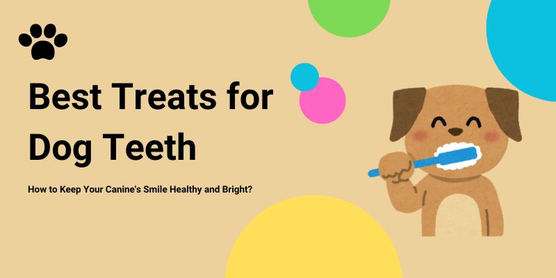 Best Treats for Dog Teeth
