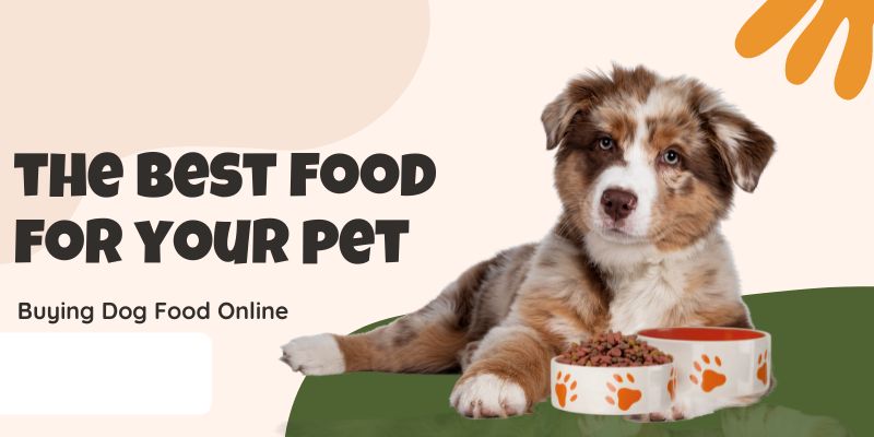 buy dog food online