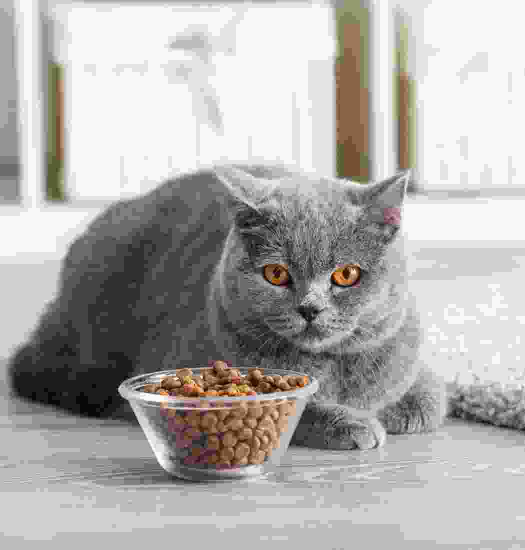 product-img-15b product-img-15b