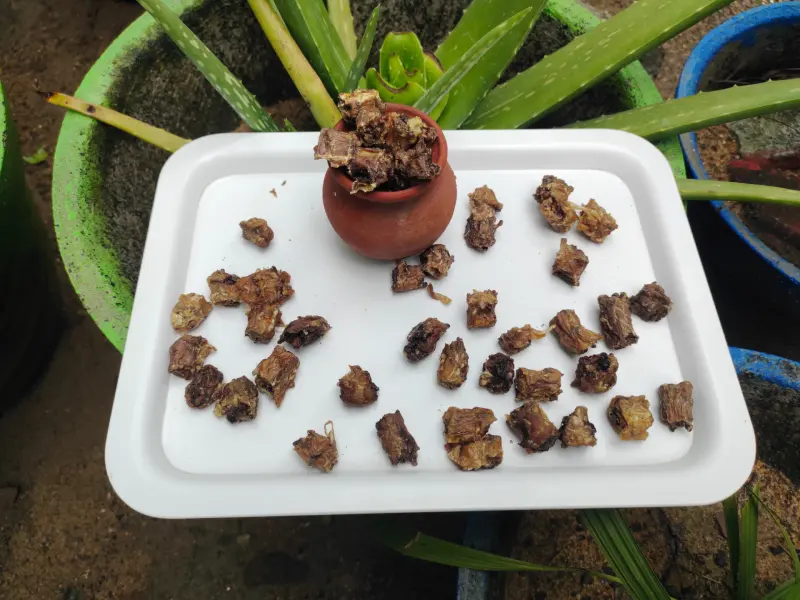 chicken1 neck chunks(1)