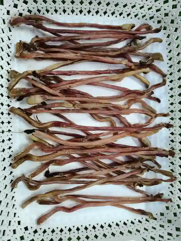 Shop Secondary Image Shop Secondary Image