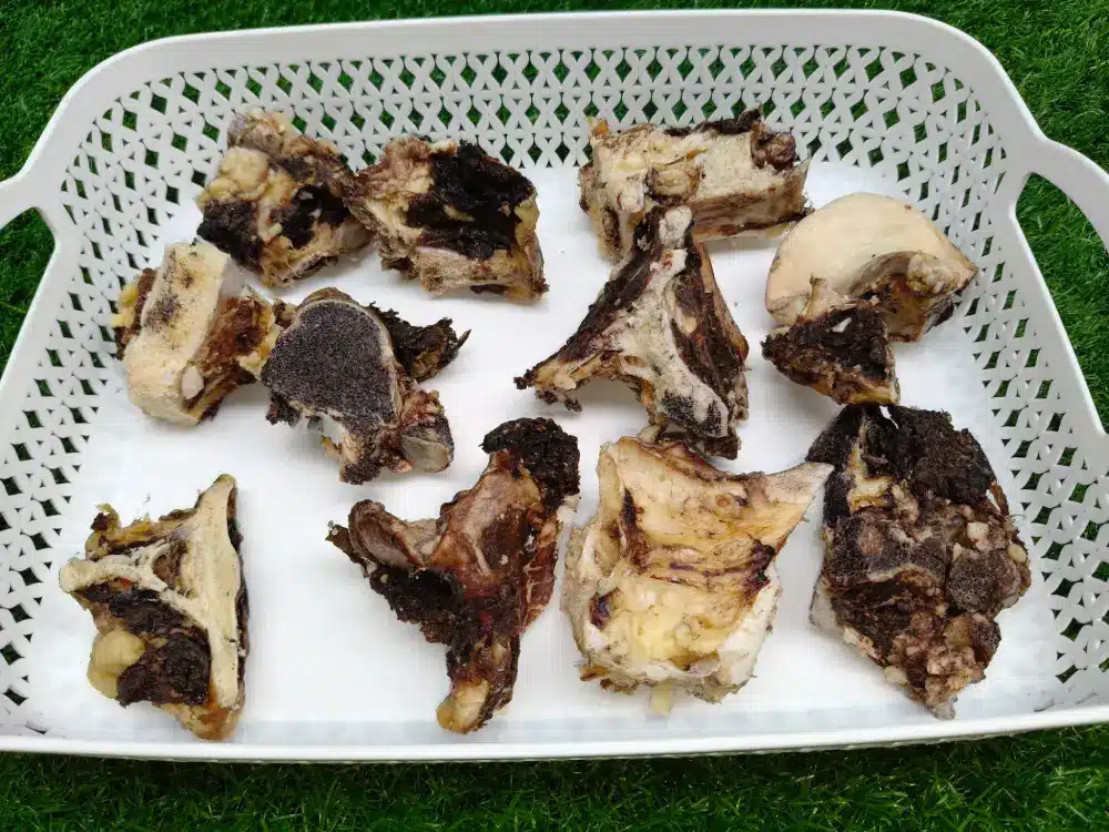 Shop Secondary Image