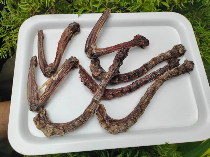 Shop Secondary Image Shop Secondary Image