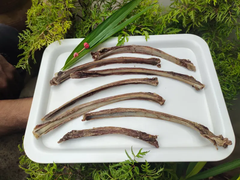 goat-ribs-single2 dog chews