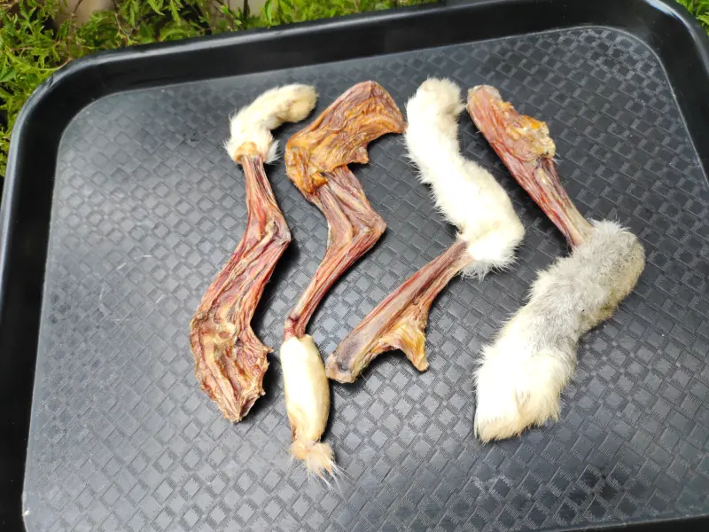 rabbit-paws2 rabbit paws for dogs